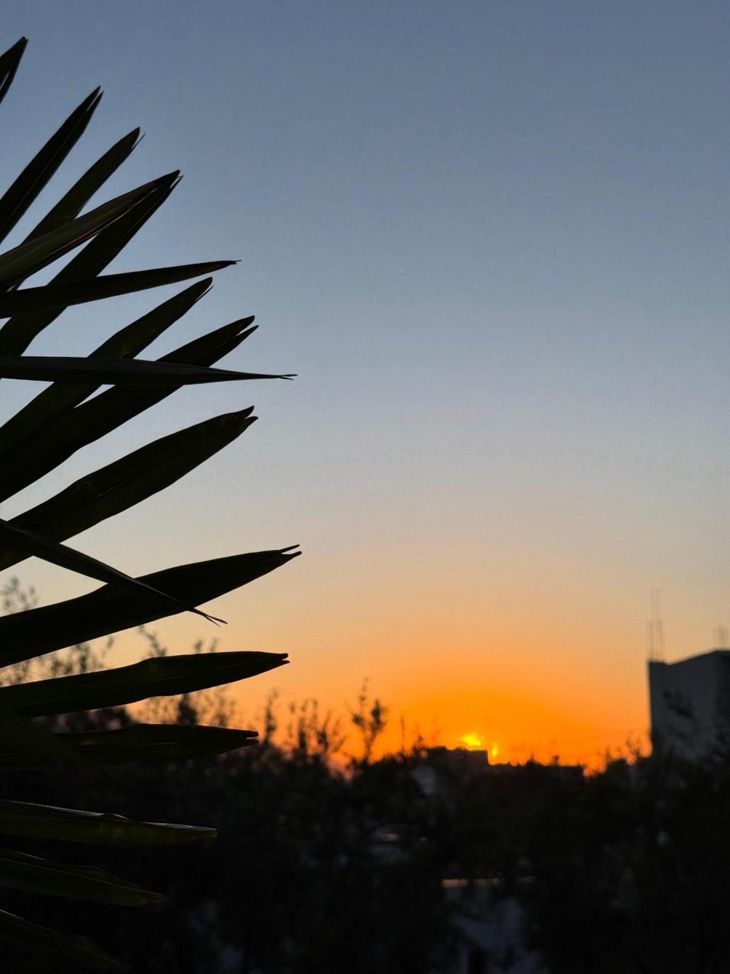 Sunshine Hotel 3*